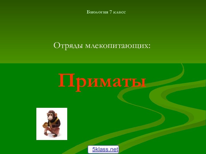 Биология 7 классОтряды млекопитающих:Приматы