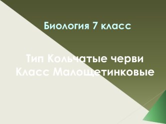 Тип Кольчатые черви. Класс Малощетинковые