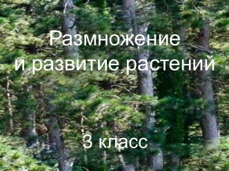 Размножение и развитие растений (3 класс)