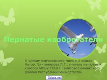 Строение птицы