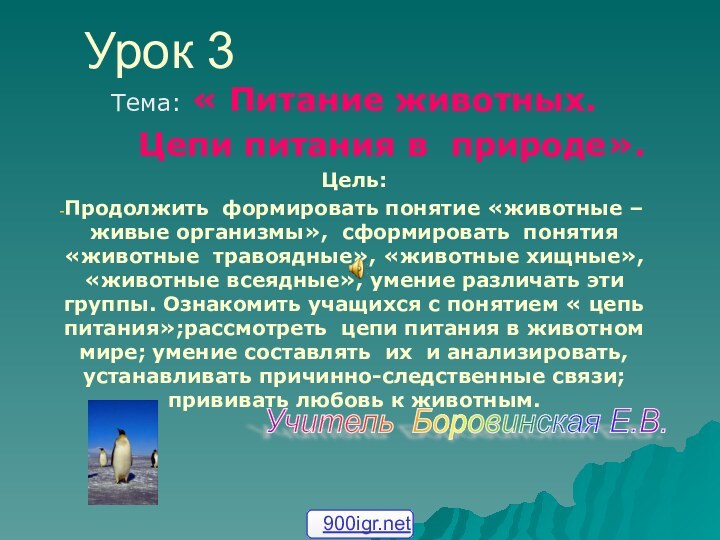 Урок 3Тема: « Питание животных.     Цепи питания в