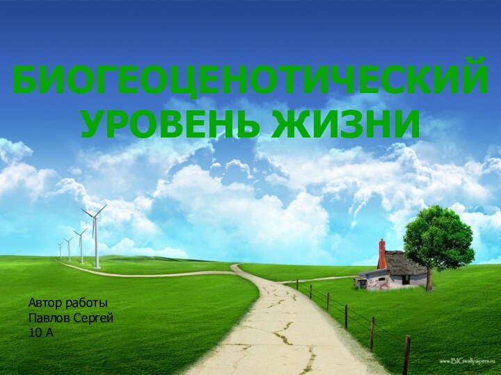 БИОГЕОЦЕНОТИЧЕСКИЙ УРОВЕНЬ ЖИЗНИ Автор работыПавлов Сергей 10 А