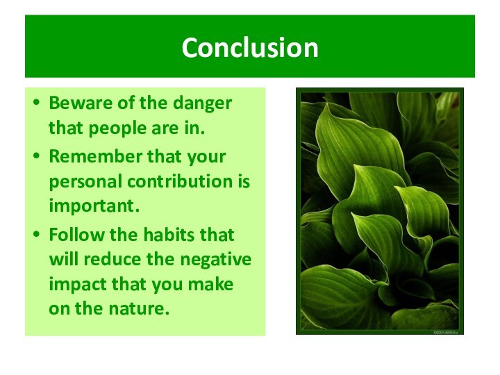 ConclusionBeware of the danger that people are in.Remember that your personal contribution