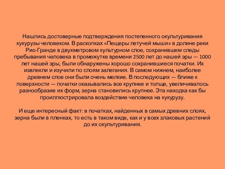 Нашлись достоверные подтверждения постепенного окультуривания кукурузы человеком. В раскопках «Пещеры летучей мыши»