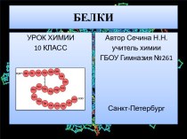 10 класс Урок химии Белки