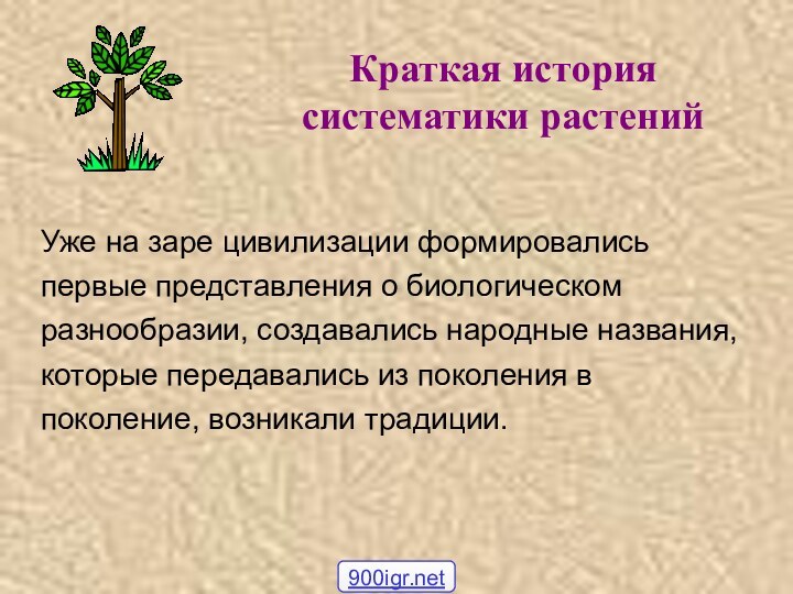 Краткая история систематики растенийУже на заре цивилизации формировались первые представления о биологическом