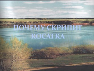 Почему скрипит косатка