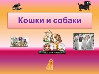 Кошки и собаки