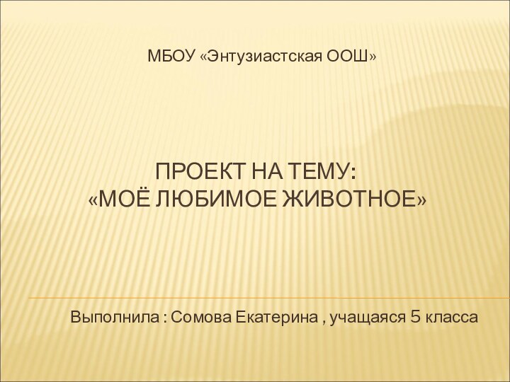 ПРОЕКТ НА ТЕМУ:   «МОЁ ЛЮБИМОЕ ЖИВОТНОЕ»   МБОУ «Энтузиастская ООШ»Выполнила