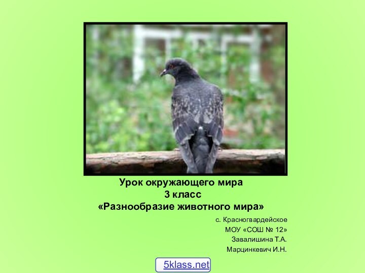 Урок окружающего мира  3 класс  «Разнообразие животного мира»с. Красногвардейское МОУ