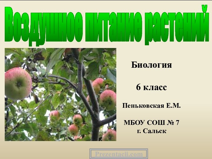 Воздушное питание растенийБиология6 классПеньковская Е.М.МБОУ СОШ № 7г. СальскPrezentacii.com