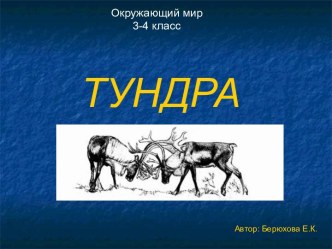 Тундра