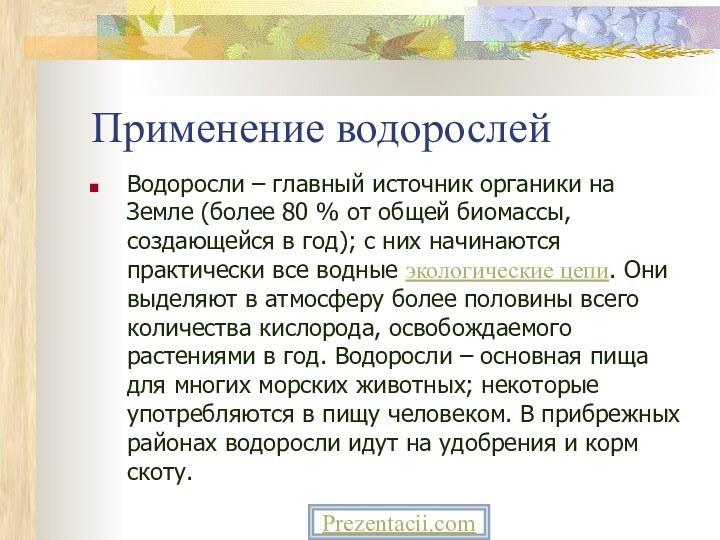 Применение водорослейВодоросли – главный источник органики на Земле (более 80 % от