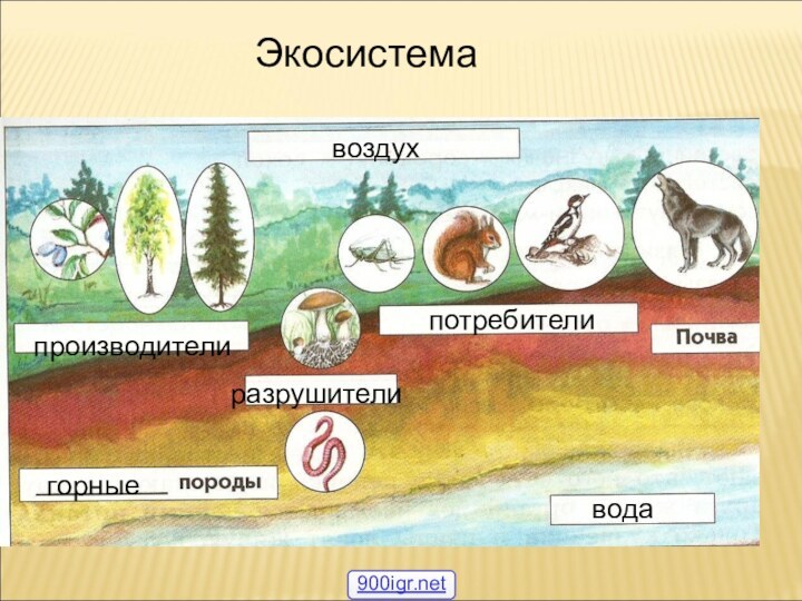 воздух  производителипотребителиразрушителиводагорныеЭкосистема