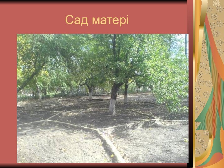 Сад матері