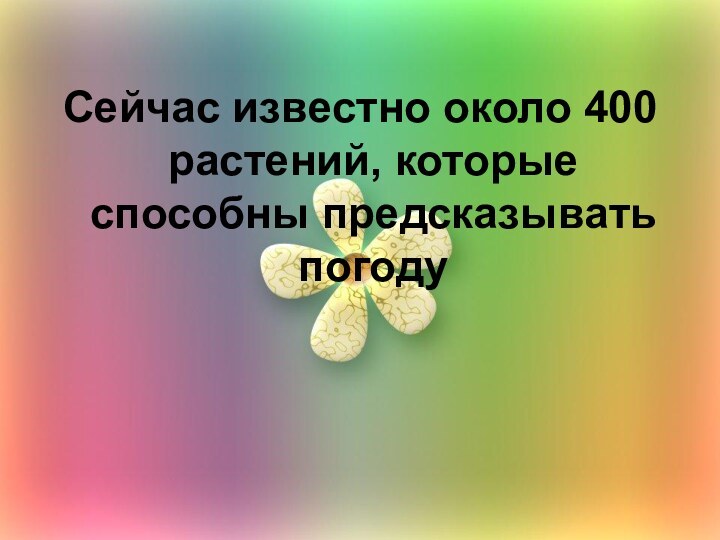 Сейчас известно около 400 растений, которые способны предсказывать погоду