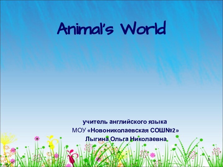 Animal’s World