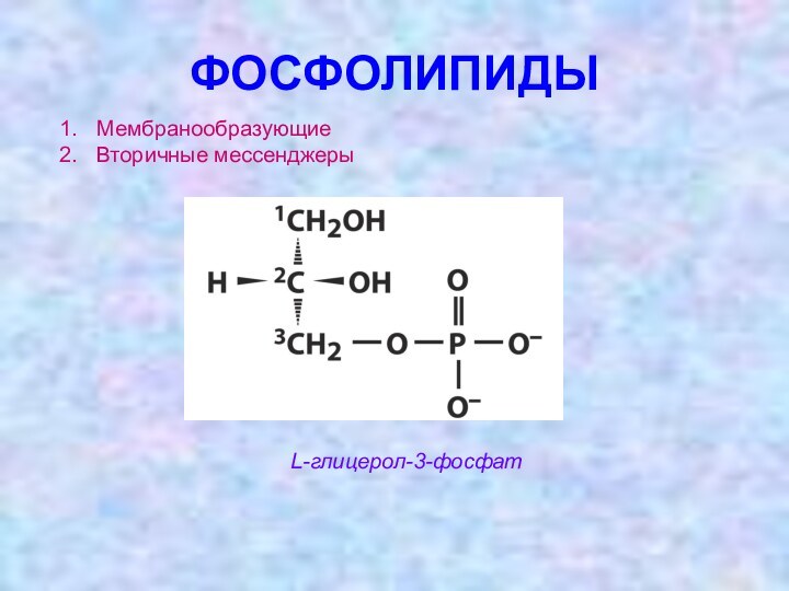 ФОСФОЛИПИДЫМембранообразующиеВторичные мессенджерыL-глицерол-3-фосфат