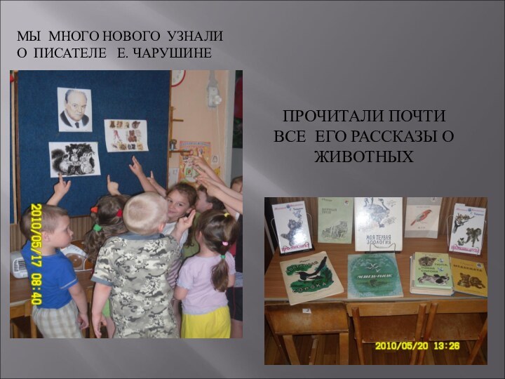 МЫ МНОГО НОВОГО УЗНАЛИ О ПИСАТЕЛЕ  Е. ЧАРУШИНЕПРОЧИТАЛИ ПОЧТИ ВСЕ ЕГО РАССКАЗЫ О ЖИВОТНЫХ