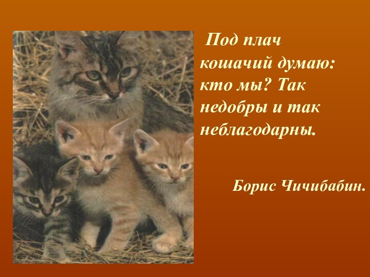 Под плач кошачий думаю: кто мы? Так недобры и так неблагодарны.