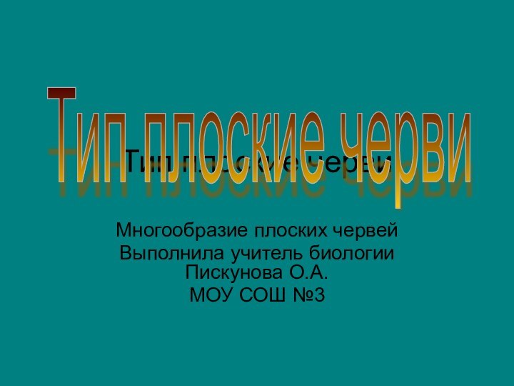 Тип плоские червиМногообразие плоских червейВыполнила учитель биологии Пискунова О.А.МОУ СОШ №3 Тип плоские черви