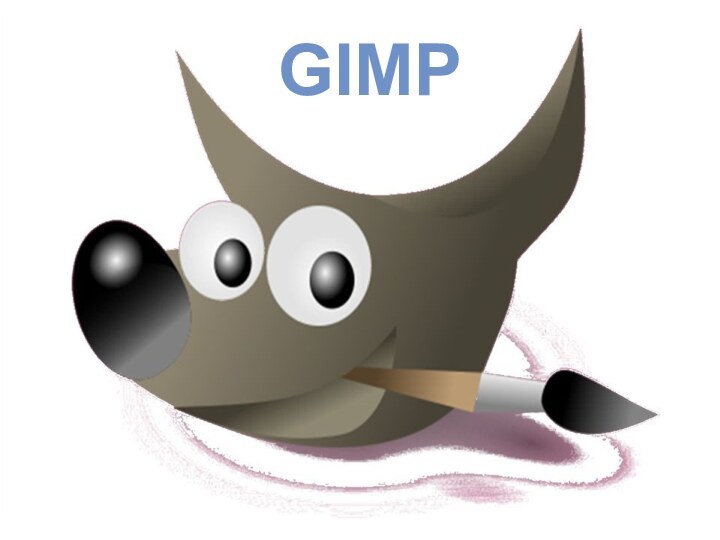 GIMP