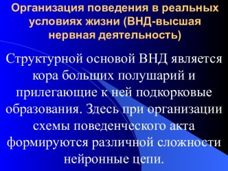 Организация поведения в реальных условиях жизни (ВНД-высшая нервная деятельность)