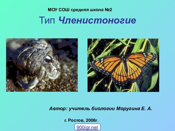 Тип ЧленистоногиеМОУ СОШ средняя школа №2Автор: учитель биологии Моругина Е. А.г. Ростов, 2008г.