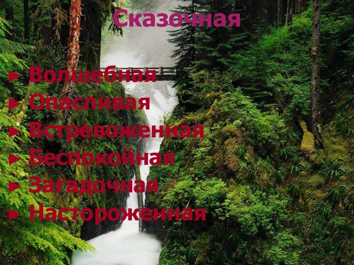 Сказочная ВолшебнаяОпасливаяВстревоженнаяБеспокойнаяЗагадочнаяНастороженная