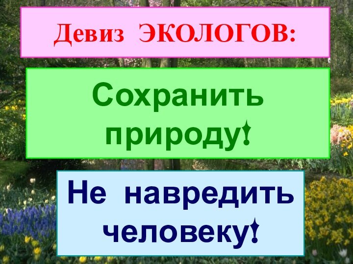 Сохранить природу!Не навредить человеку!Девиз ЭКОЛОГОВ: