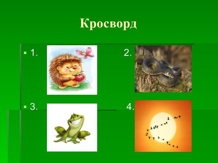 Кросворд1.