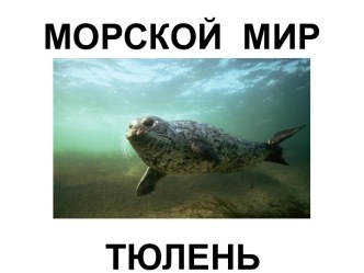 Морской мир