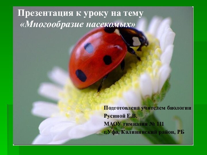 Презентация к уроку на тему  «Многообразие насекомых»Подготовлена учителем биологии Русиной Е.В.МАОУ