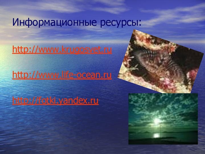 Информационные ресурсы:http://www.krugosvet.ruhttp://www.life-ocean.ruhttp://fotki.yandex.ru