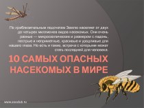 10-самых-опасных-насекомых-в-мире