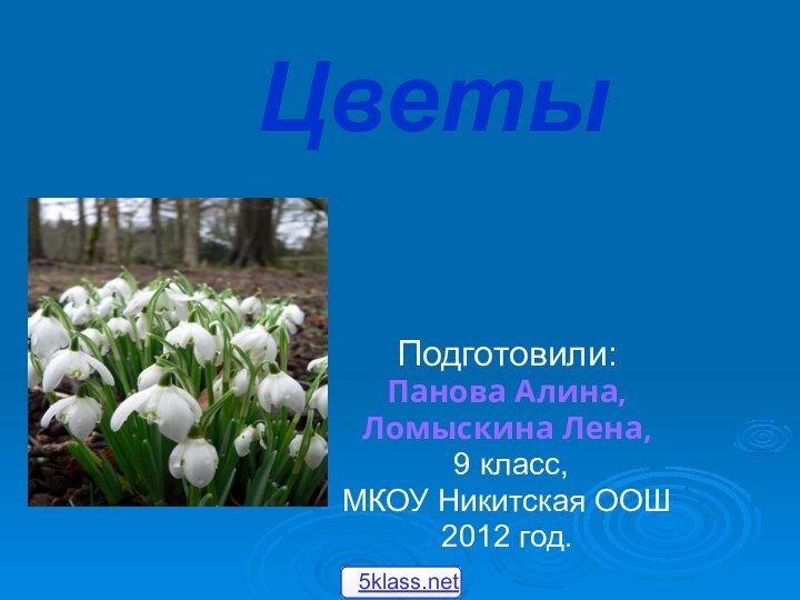 ЦветыПодготовили: Панова Алина, Ломыскина Лена, 9 класс, МКОУ Никитская ООШ2012 год.