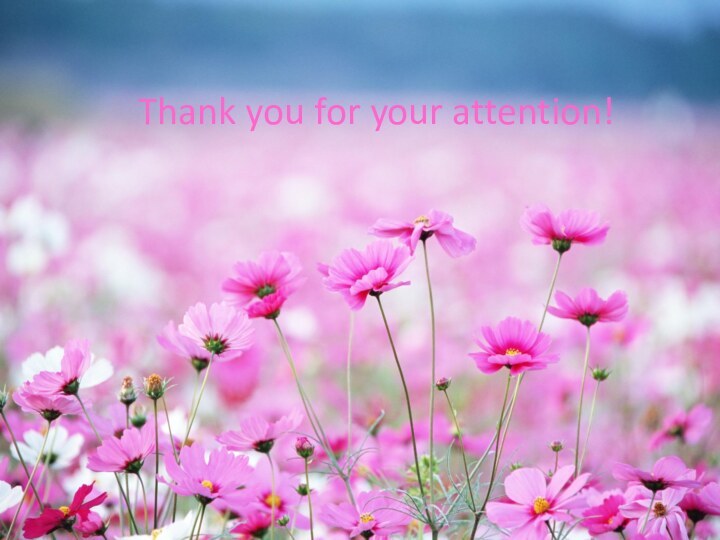 Thank you for your attention!