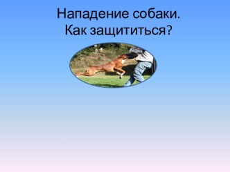 Нападение собаки. Как защититься?