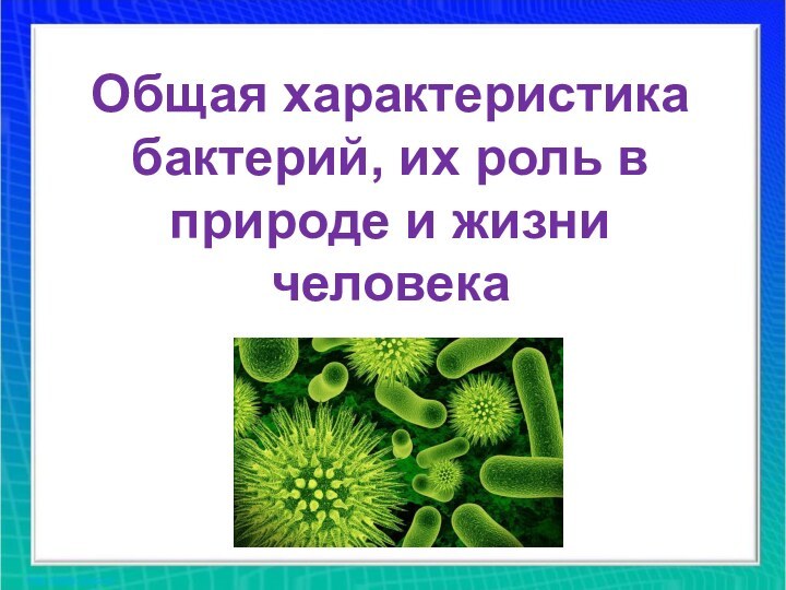 Общая характеристика бактерий, их роль в природе и жизни человека