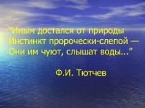 Основные группы рыб, их роль в природе и практическое значение