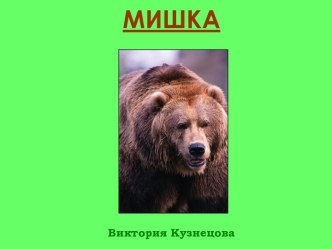 сказка Мишка косолапый