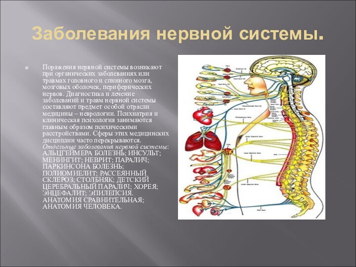 Заболевания нервной системы.Поражения нервной системы возникают при органических заболеваниях или травмах головного