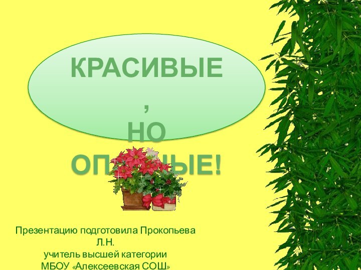 Презентацию подготовила Прокопьева Л.Н.учитель высшей категорииМБОУ «Алексеевская СОШ»КРАСИВЫЕ,НО ОПАСНЫЕ!