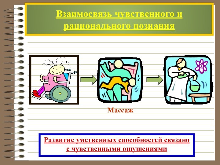 Взаимосвязь чувственного и рационального познанияРазвитие умственных способностей связано с чувственными ощущениями