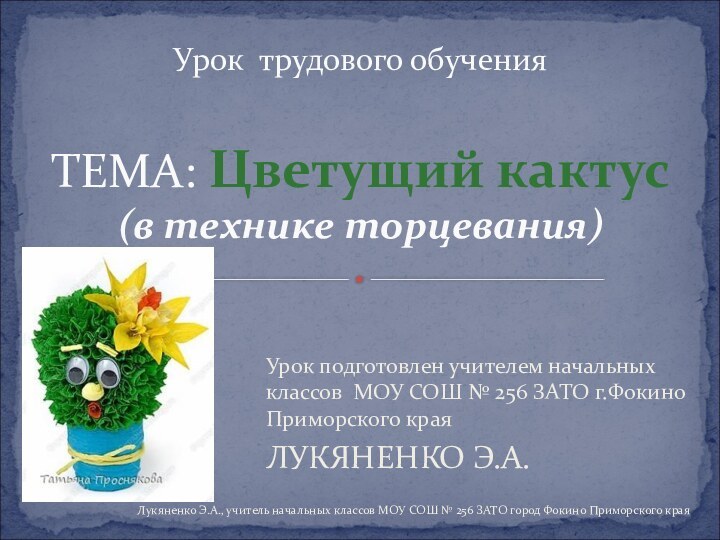 Урок подготовлен учителем начальных классов МОУ СОШ № 256 ЗАТО г.Фокино Приморского