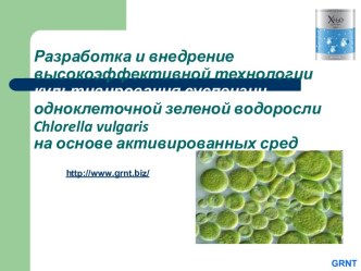 Разработка и внедрение высокоэффективной технологии культивирования суспензии одноклеточной зеленой водоросли