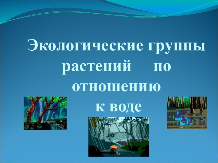 Экологические группы  растений   по отношению  к воде