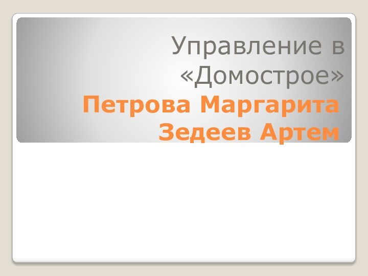 Петрова Маргарита Зедеев АртемУправление в «Домострое»