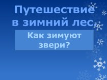 Путешествие в зимний лес. Как зимуют звери