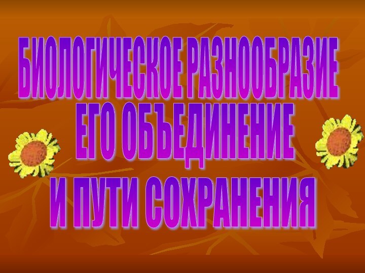 БИОЛОГИЧЕСКОЕ РАЗНООБРАЗИЕЕГО ОБЪЕДИНЕНИЕИ ПУТИ СОХРАНЕНИЯ